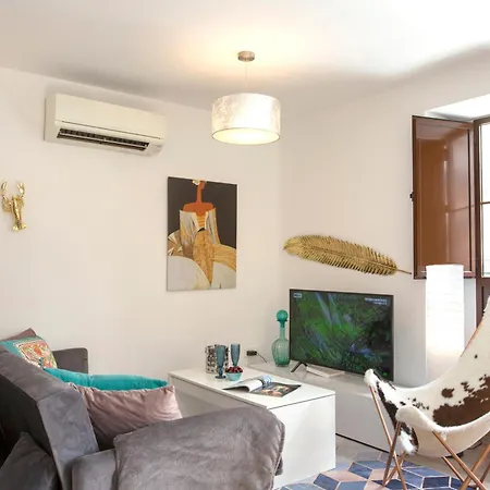 Daire Singularstays Center