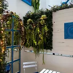 Singularstays Center * Valencia